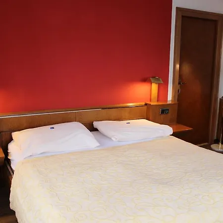 Hotel Restaurant Schweizerhaus 2*