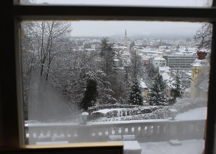 Restaurant Schweizerhaus Hotel 2*