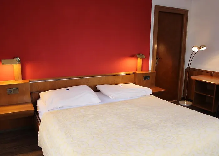 Hotel Restaurant Schweizerhaus 2*